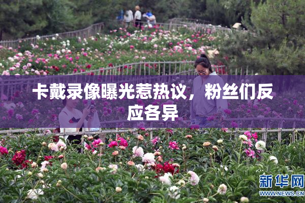 卡戴录像曝光惹热议，粉丝们反应各异