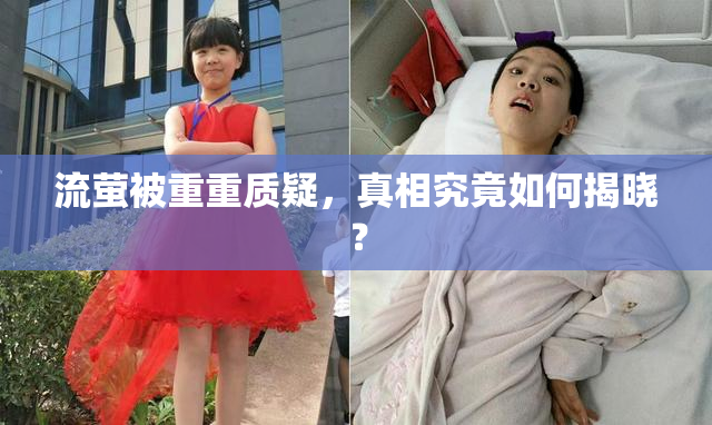 流萤被重重质疑，真相究竟如何揭晓？