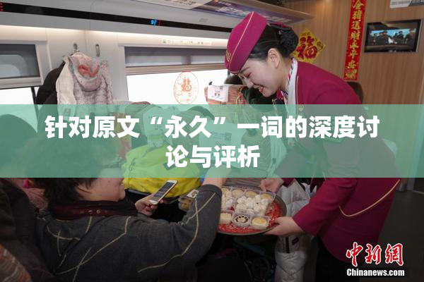 针对原文“永久”一词的深度讨论与评析