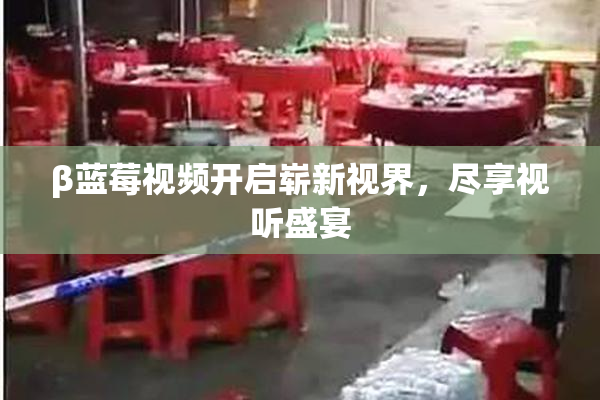 β蓝莓视频开启崭新视界，尽享视听盛宴
