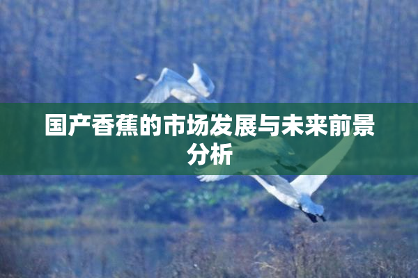国产香蕉的市场发展与未来前景分析