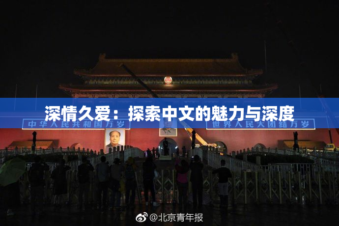 深情久爱：探索中文的魅力与深度
