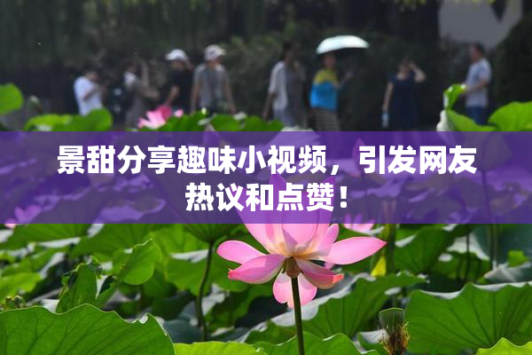景甜分享趣味小视频，引发网友热议和点赞！