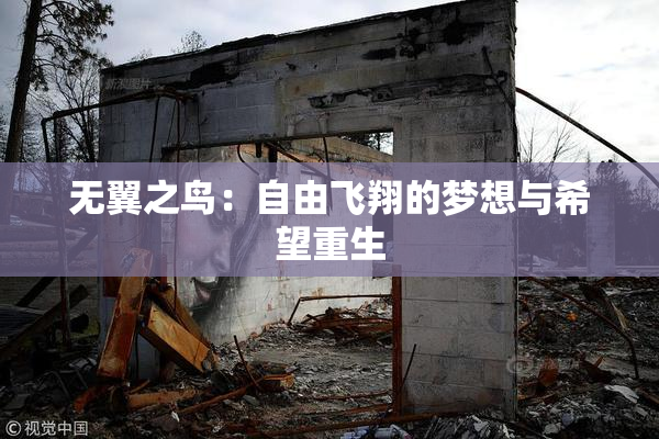 无翼之鸟：自由飞翔的梦想与希望重生