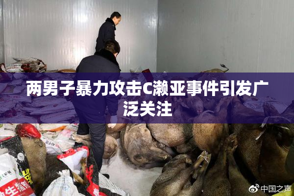 两男子暴力攻击C濑亚事件引发广泛关注