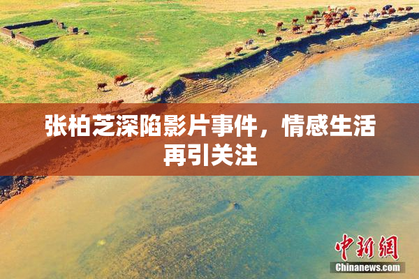 张柏芝深陷影片事件，情感生活再引关注