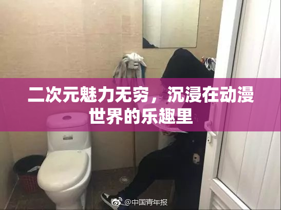 二次元魅力无穷，沉浸在动漫世界的乐趣里