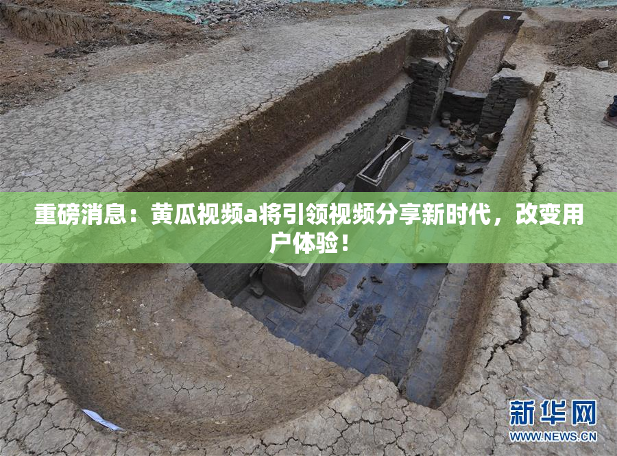 重磅消息：黄瓜视频a将引领视频分享新时代，改变用户体验！