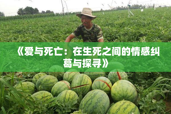 《爱与死亡：在生死之间的情感纠葛与探寻》