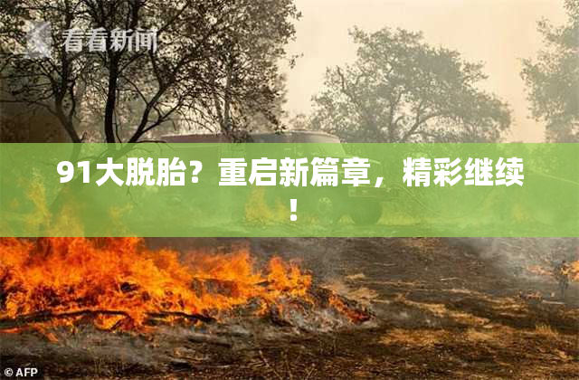 91大脱胎？重启新篇章，精彩继续！