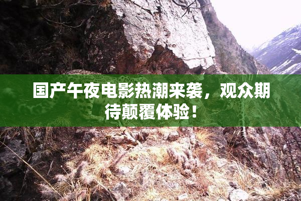 国产午夜电影热潮来袭，观众期待颠覆体验！
