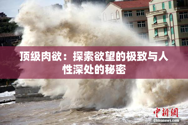 顶级肉欲：探索欲望的极致与人性深处的秘密