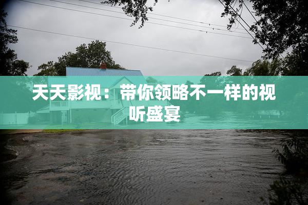 天天影视：带你领略不一样的视听盛宴