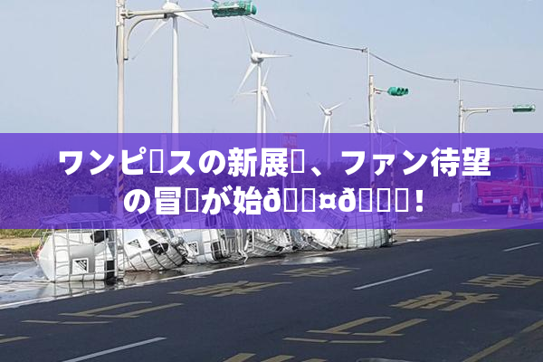 ワンピースの新展開、ファン待望の冒険が始🖤🌃！