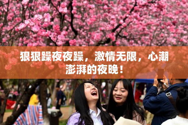 狠狠躁夜夜躁，激情无限，心潮澎湃的夜晚！