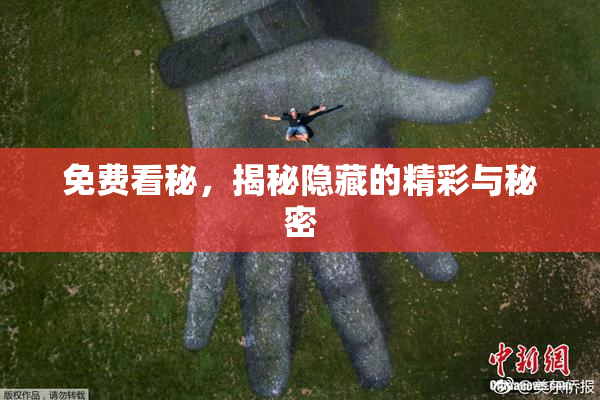 免费看秘，揭秘隐藏的精彩与秘密