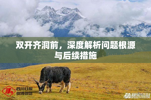 双开齐洞前，深度解析问题根源与后续措施