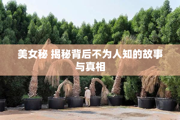 美女秘 揭秘背后不为人知的故事与真相