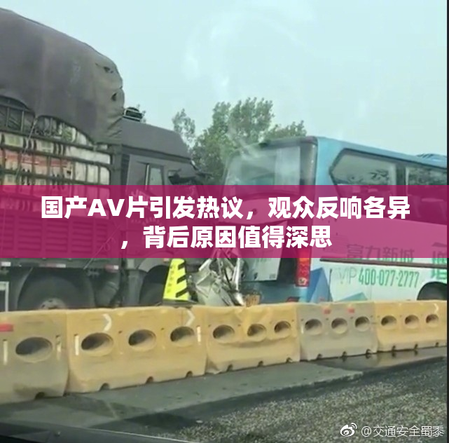 国产AV片引发热议，观众反响各异，背后原因值得深思