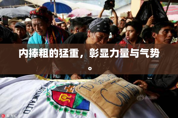 内捧粗的猛重，彰显力量与气势。