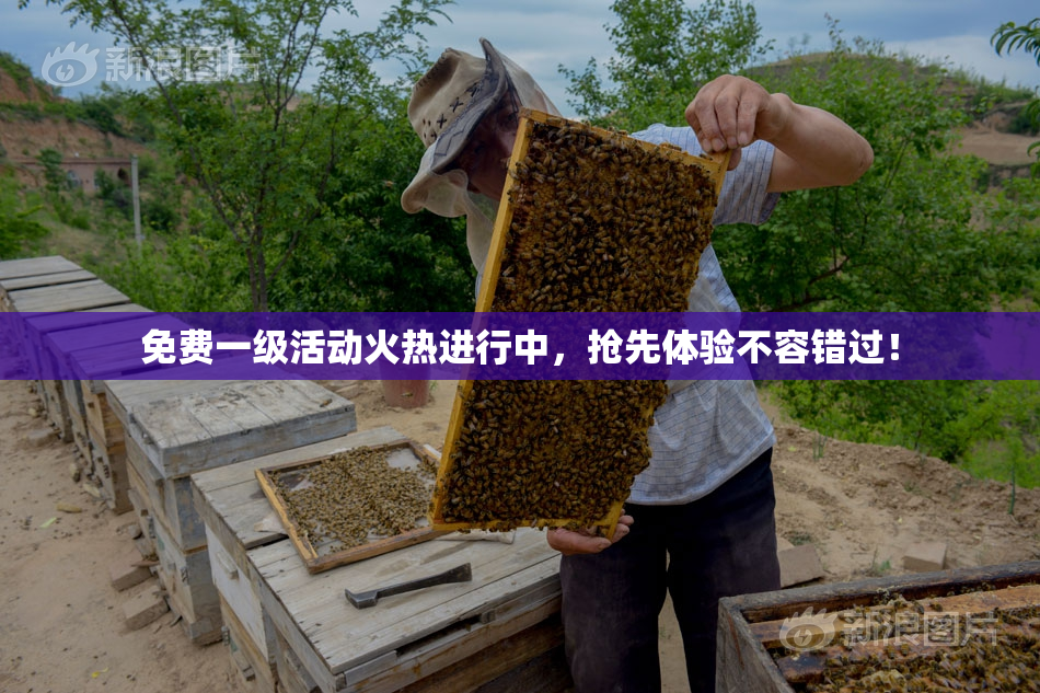 免费一级活动火热进行中，抢先体验不容错过！