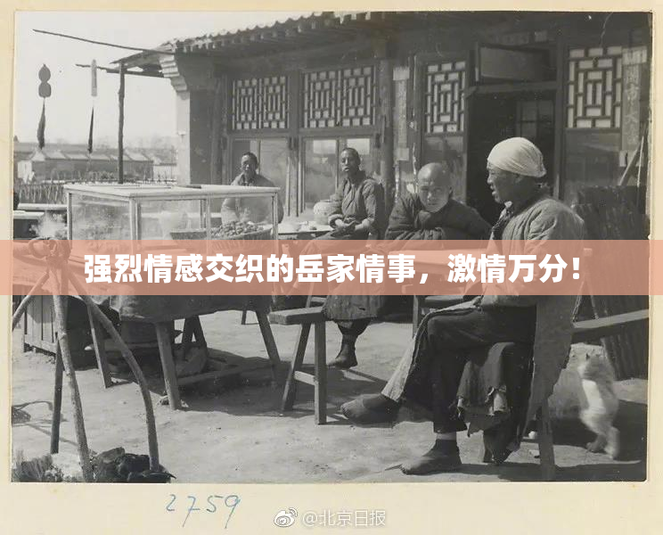 强烈情感交织的岳家情事，激情万分！