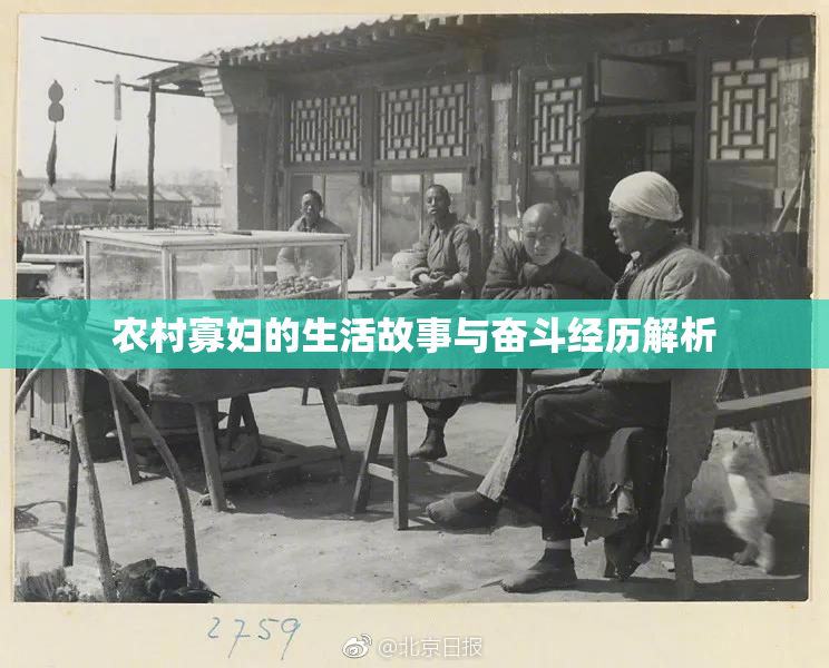 农村寡妇的生活故事与奋斗经历解析