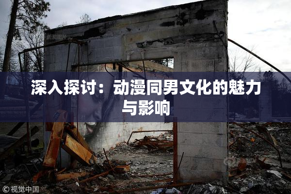 深入探讨：动漫同男文化的魅力与影响