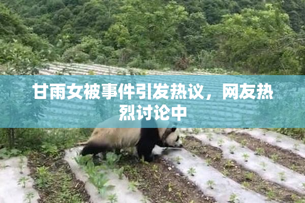 甘雨女被事件引发热议，网友热烈讨论中