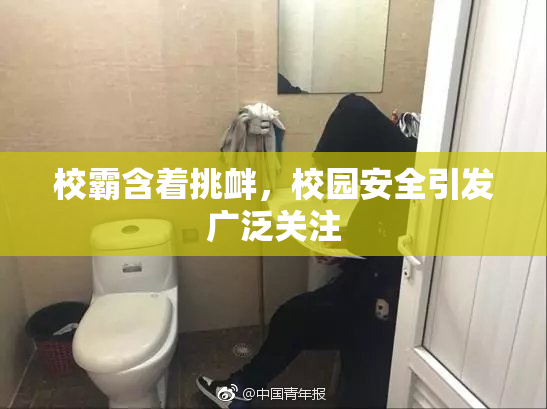 校霸含着挑衅，校园安全引发广泛关注