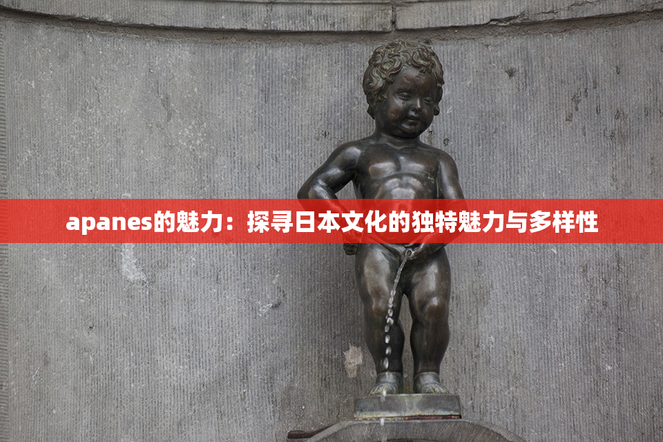 apanes的魅力：探寻日本文化的独特魅力与多样性
