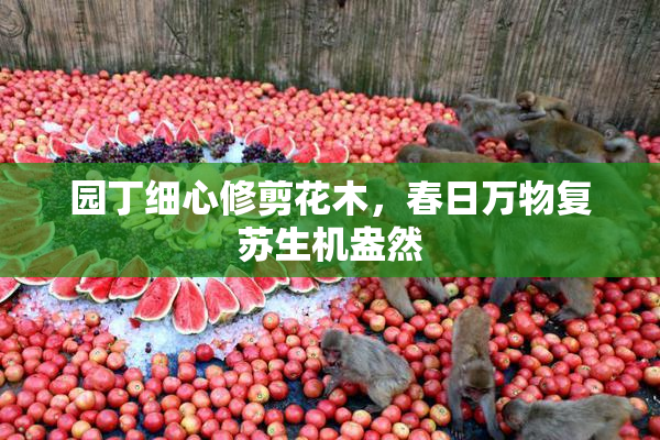 园丁细心修剪花木，春日万物复苏生机盎然