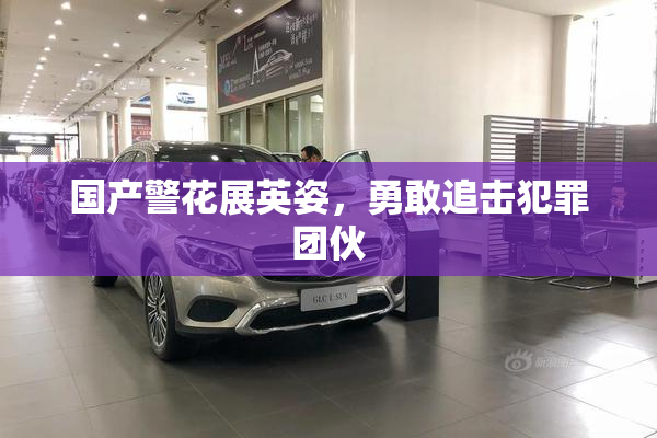 国产警花展英姿，勇敢追击犯罪团伙
