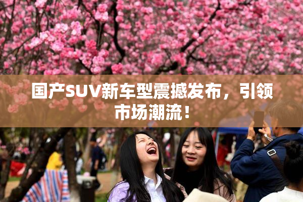 国产SUV新车型震撼发布，引领市场潮流！