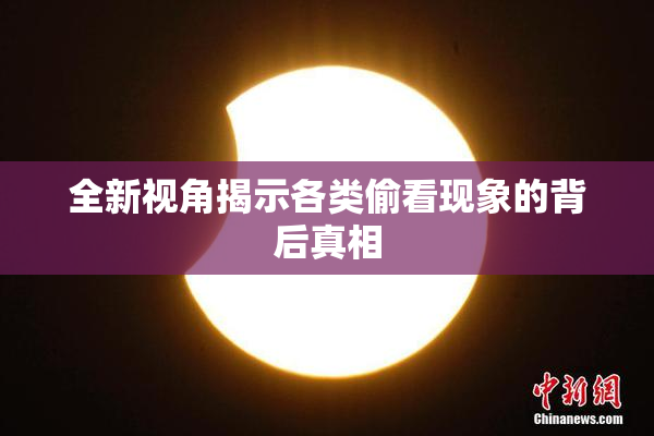 全新视角揭示各类偷看现象的背后真相