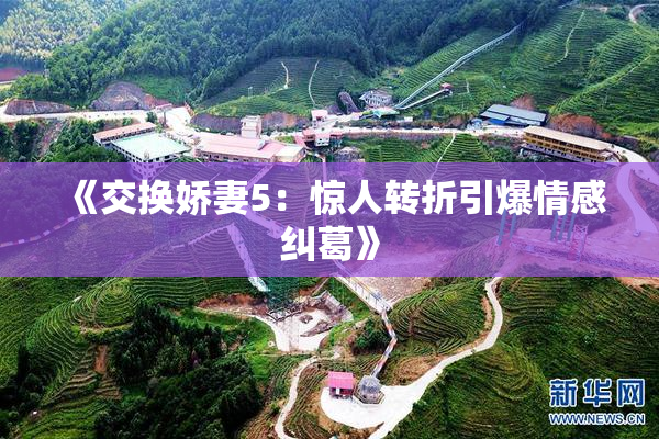 《交换娇妻5：惊人转折引爆情感纠葛》