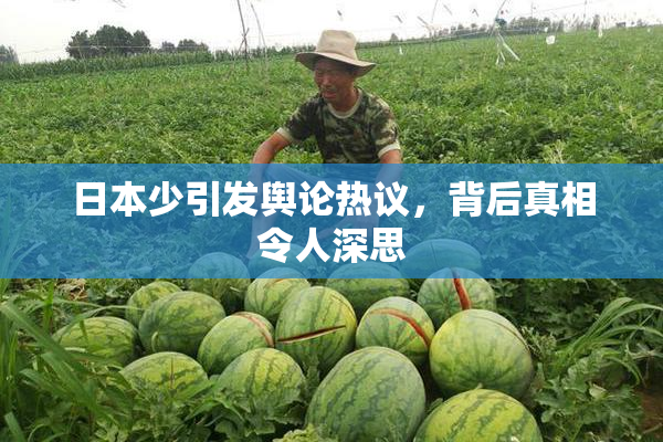日本少引发舆论热议，背后真相令人深思