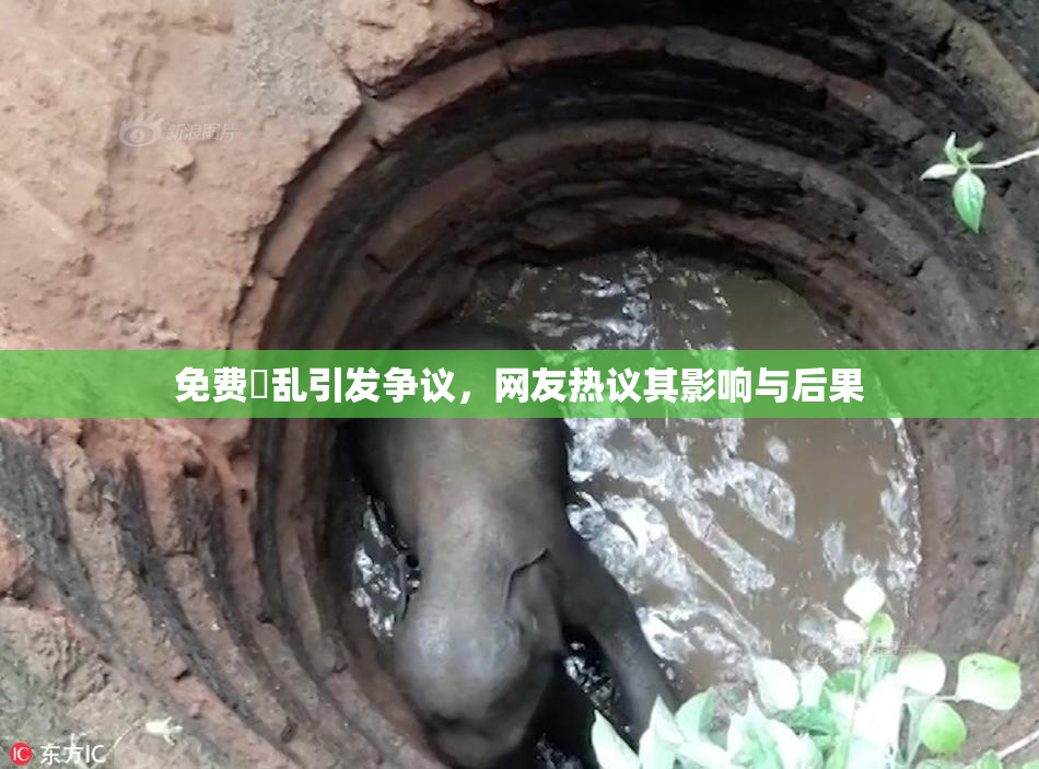 免费婬乱引发争议，网友热议其影响与后果