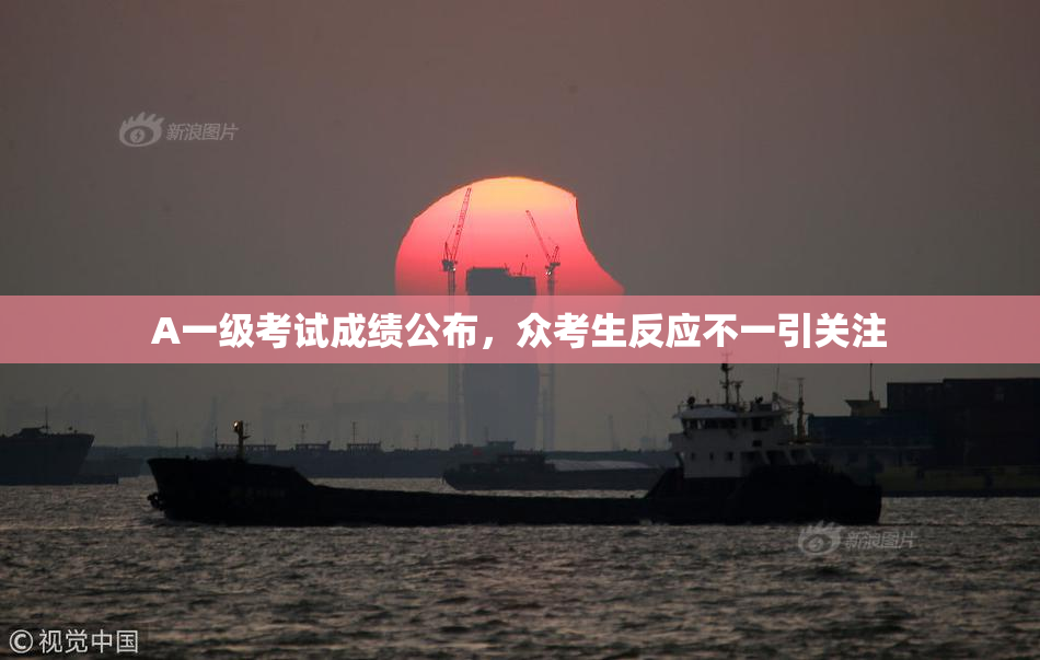 A一级考试成绩公布，众考生反应不一引关注