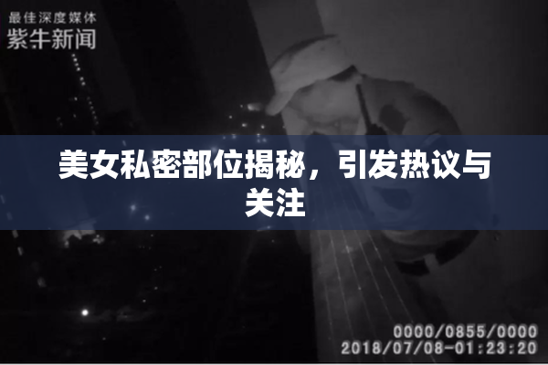 美女私密部位揭秘，引发热议与关注