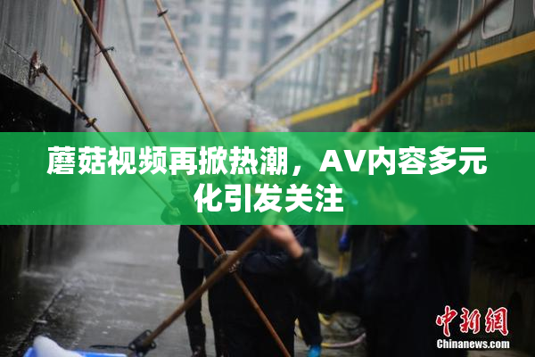 蘑菇视频再掀热潮，AV内容多元化引发关注