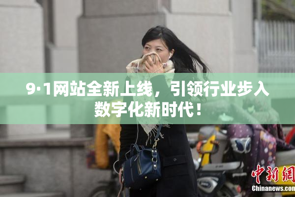 9·1网站全新上线，引领行业步入数字化新时代！