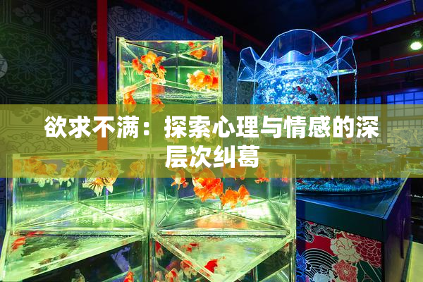 欲求不满：探索心理与情感的深层次纠葛