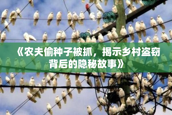 《农夫偷种子被抓，揭示乡村盗窃背后的隐秘故事》