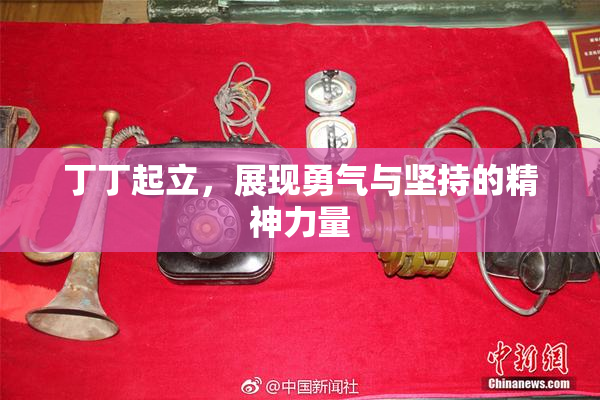 丁丁起立，展现勇气与坚持的精神力量