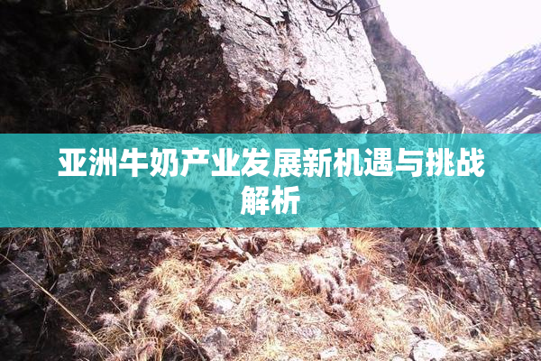 亚洲牛奶产业发展新机遇与挑战解析