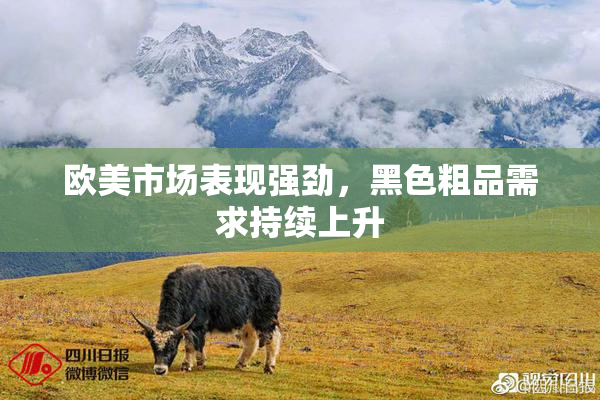 欧美市场表现强劲，黑色粗品需求持续上升