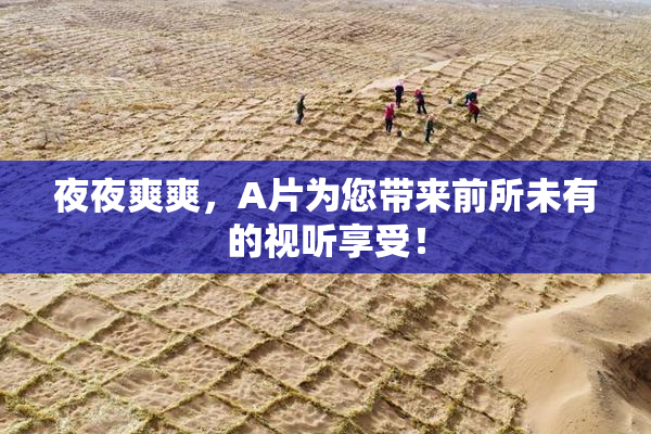 夜夜爽爽，A片为您带来前所未有的视听享受！