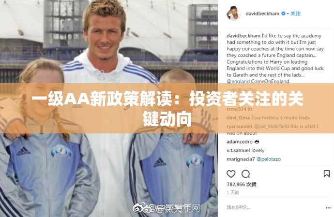 一级AA新政策解读：投资者关注的关键动向