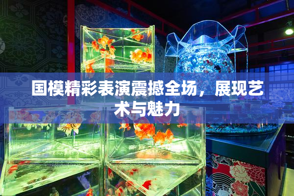 国模精彩表演震撼全场，展现艺术与魅力